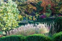 The Grasses Parterre. Miscanthus sinensis 'Graziella' in foreground. Sorbus hupehensis on left. Yew and Box hedges - Veddw House Garden, Monmouthshire, Wales. October 2010