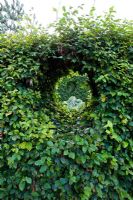 Peephole through Fagus - Beech hedge. Derry Watkins Garden at Special Plants, Bath, UK