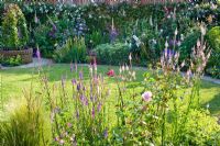 Cottage-style borders in evening light, Linaria in foreground