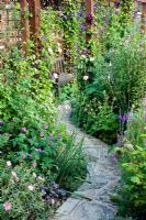 Path leading to seat with border plants including Linaria 'Canon Went', Clematis and Roses 
