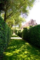 A grassy pathway between Carpinus - Hornbeam hedges leads to the priory's west approach - Le Prieure Notre Dame d'Orsan. 