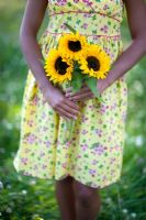 Woman wearing a yellow flowery dress holding a bunch of three Sunflowers in a meadow