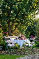 Round paved sitting area with dressed table and wooden iron garden furniture beneath a plum tree