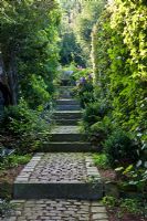 A granite paved flight of stairs next to hedge with Acer campestre and Buxus