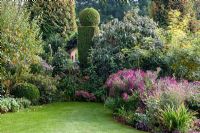 Topiary accentuates a mixed border with Amorpha fruticosa, Aster novae-angliae 'Andenken an Paul Gerber', Buxus, Eleagnus, Sedum, Thuja occidentalis 'Smaragd' and Viburnum rhytidophyllum