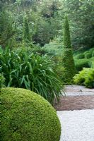 Gravel path with Buxus sempervirens, Thuja occidentalis 'Smaragd', Agapanthus
