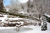 Winter garden with pond and Catalpa bignonioides tree 
