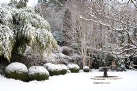 Buxus sempervirens - Box topiary in winter garden scene with fountain