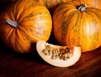 Pumpkin 'Lady Godiva' showing seeds which are ready to eat without de-hulling