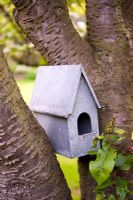 Galvanised bird house in the Cherry tree