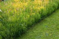 'Formal informality'. Sharp edged formal wild beds which reflect Italian Garden structure and dimensions. Planted in spring with Frittilaria meleagris, Cammassia leichtlinii, and Cowslips then open to all comers. Strimmed and mowed in August - Greenways garden, Cheshire 

