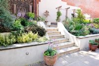 Steps through sloping small modern garden with white painted walls, terrace and tiered planting. 