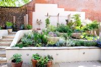 Steps through sloping small modern garden with white painted walls, terrace and tiered planting.