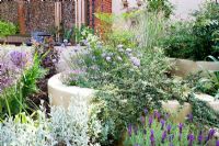 Tiered planting with white painted walls in small modern garden