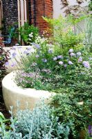 Tiered walled planting bed in small modern garden with Scabious, Diascia and Cotoneaster. 
