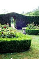 Formal Rosa - Rose garden with Taxus - Yew hedge and arch
