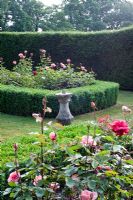 Sundial in formal Rosa - Rose garden with Taxus - Yew hedge

