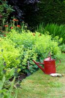 Garden utensils on lawn by 'hot' coloured border. Alchemilla mollis, Lychnis chalcedonia
