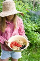 Girl holding enamel bowl of freshly picked Ribes rubrum, Ribes nigrum - Red, White and Black currants
