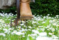 Boot on fork on lawn with Daisies