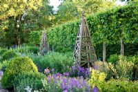 Summer border with wooden obelisk, backed by pleached Tilia - Lime hedge. Plants include Allium christophii, Penstemon, Achemilla mollis, Hesperis 

