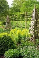 Late Spring border with wooden obelisk, pleached Tilia - Lime hedge, Thermopsis montana and topiary.
