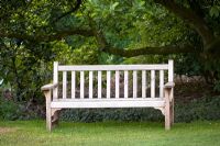 Wooden bench on a lawn beneath a tree