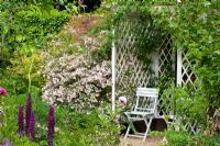 Arbour with chair. Kolkwitzia - Beauty Bush, and Lupinus - Lupins
