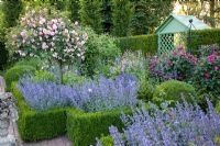 Romantic garden with scented borders of Nepeta 'Walkers Low', Rosa 'Paul Noel' grown as standards, and Gillenia trifoliata. Taxus and Buxus hedges and topiary 