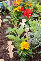Miniature garden for children with novelty plant labels, herbs and Marigolds
