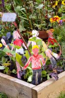 Miniature vegetable garden for children with Lactuca sativa - Lettuce