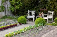 Path through vegetable garden with seating area and Buxus topiary. Turnip, Kohlrabi, Lollo rosso, Lollo bionda, Lactuca sativa, Brassica oleracea