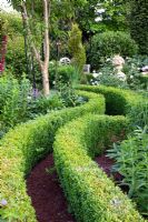 Winding bark chipping path with Buxus - Box edging.
