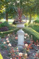 Urn on plinth in centre of Buxus - Box edged bed of Rosa 'Just Joey' - Lipkje Schat Garden
