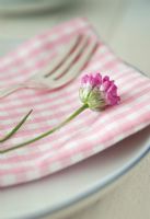 Table setting with Pink flower
