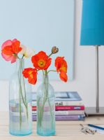 Papaver nudicaule - Iceland Poppies in blue glass bottles next to lamp on side table
