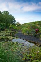 Large pond in country garden with Nymphaea - Water Lilies