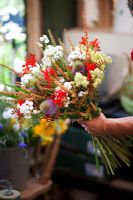 Person holding bunch of Crocosmia 'Lucifer', Wild Teasel, Rumex - Dock Flowers, Achillea ptarmica 'The Pearl' - Growing Together Nursery 
