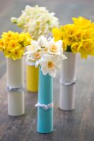 Bunches of Daffodils wrapped in card on table -  Narcissus 'Brideshead' (blue), 'Golden Dawn', (cream), 'Warleggan' and 'White Lion' (yellow)