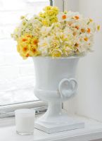 Narcissus in white vase on windowsill
