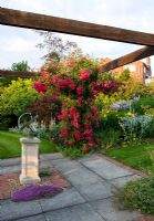 Sundial and pergola with Rosa 'Super Excelsa' - Meadow Farm, Worcestershire 
