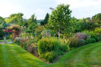 Lawn junction with border of herbaceous planting and Betula jacquemontii - Silver Birch tree - Meadow Farm, Worcestershire 