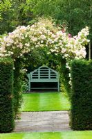 Taxus - Yew hedges with lutyens bench beneath Rosa 'Phyllis Bide' climbing over arch - Meadow Farm, Worcestershire 