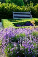 Buxus - Box and Lavandula - Lavender parterre, Oxfordshire
