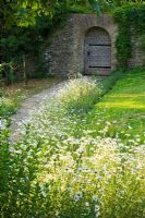 Gravel path through meadow garden
