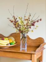Hamamelis 'Anne', 'Coombe Wood', japonica var megalophylla, 'Angelly', 'Aphrodite', 'Gingerbread', 'Glowing Embers', 'Rubin', 'Foxy Lady' and 'Magic fire' in glass vase on sideboard
