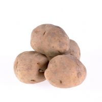 Solanum tuberosum - Potato 'Eigenheimer'