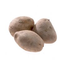 Solanum tuberosum - Potato 'Agria'