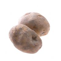 Solanum tuberosum - Potato 'Agria' 
