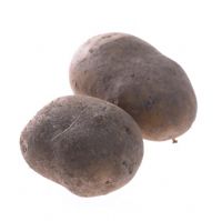 Solanum tuberosum - Potato 'Frieslander'